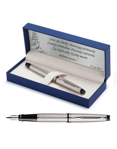 Pióro wieczne Waterman Expert stalowe CT [S0952040] - Watermansklep.com