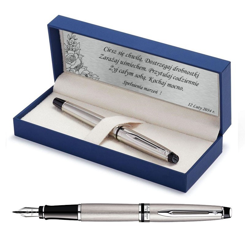 Pióro wieczne Waterman Expert stalowe CT [S0952040] - Watermansklep.com