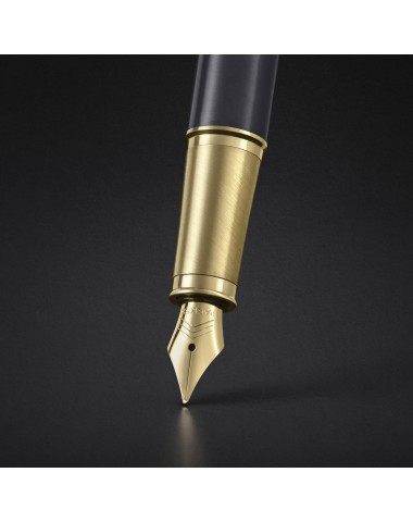 Pióro wieczne Parker IM Pioneer  [2200956]