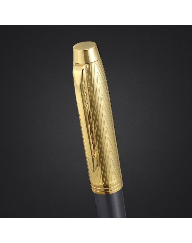 Pióro wieczne Parker IM Pioneer  [2200956]