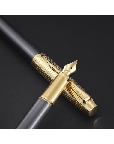 Pióro wieczne Parker IM Pioneer  [2200956]