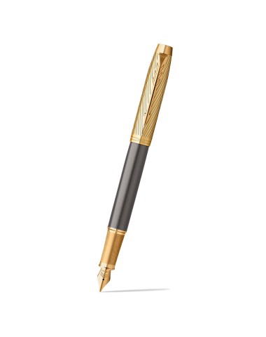 Pióro wieczne Parker IM Pioneer  [2200956]