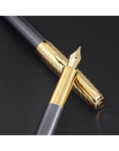 Pióro wieczne Parker Sonnet Pioneer [2201038]