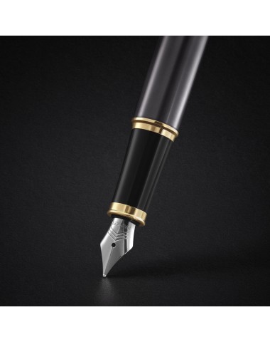 Pióro wieczne Parker IM Grey GT [2213776]