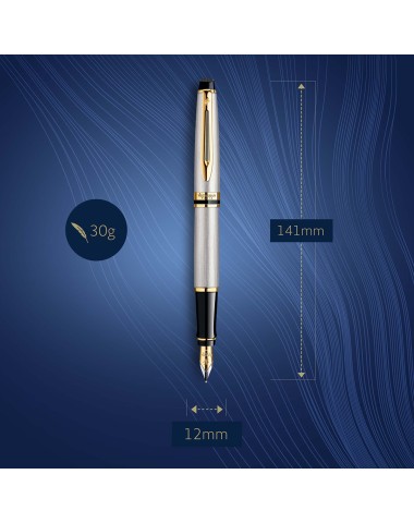 Pióro wieczne Waterman Expert stalowe GT [S0951940]