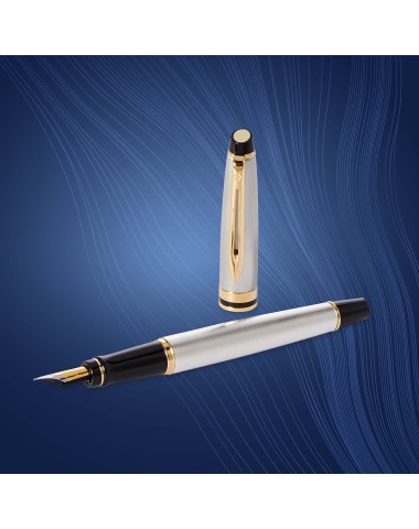 Pióro wieczne Waterman Expert stalowe GT [S0951940]